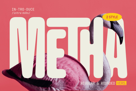 Metha: The Modern Sans-Serif for Friendly Branding